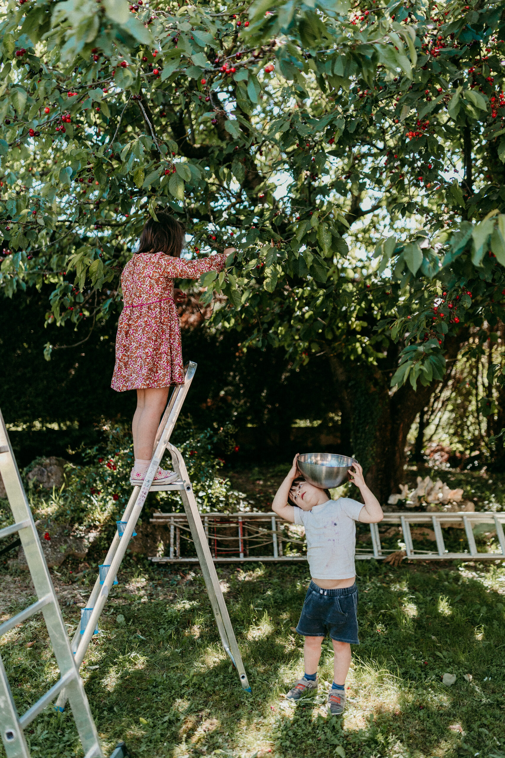 enfants ramassent des cerises